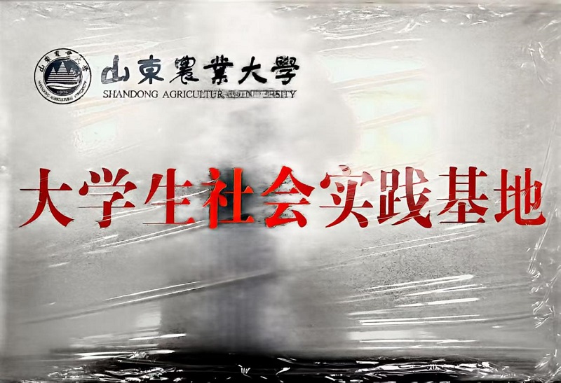大学生社会实践基地